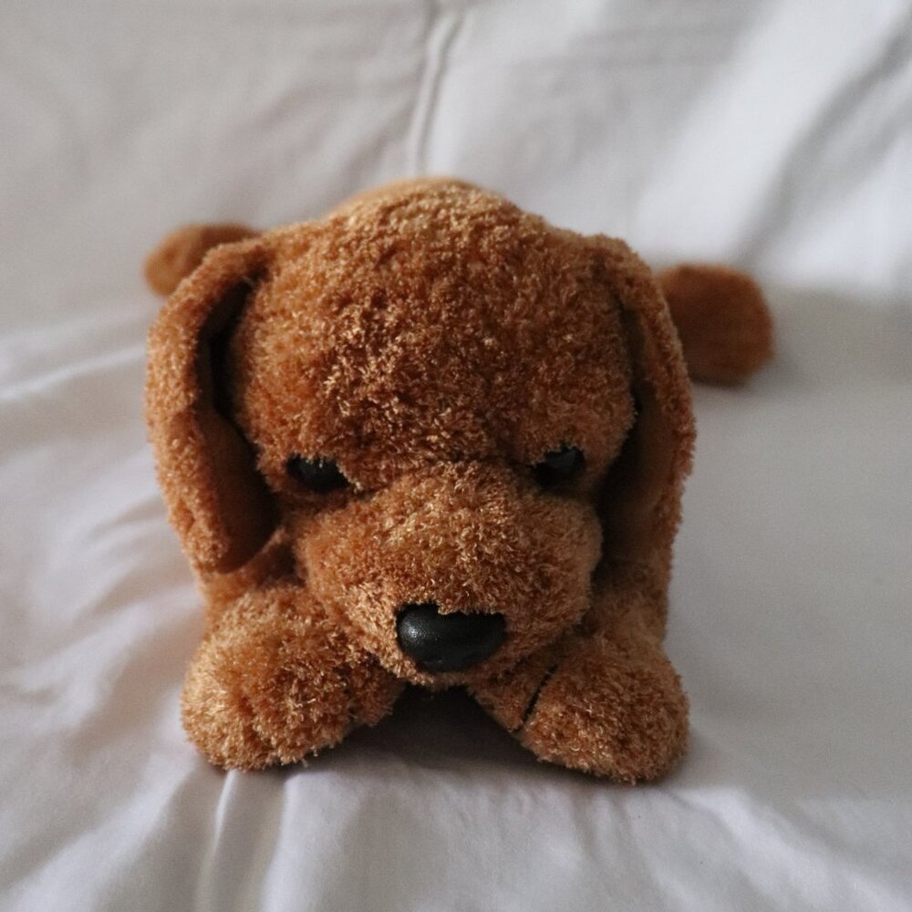 Ty Brown‎ Classic Plush Stuffed Beanie Animal Dog 1999
